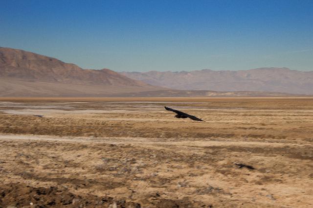 IMG_5447.jpg - Death Valley RT2014