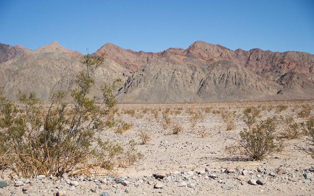 IMG_5525.jpg - Death Valley RT2014